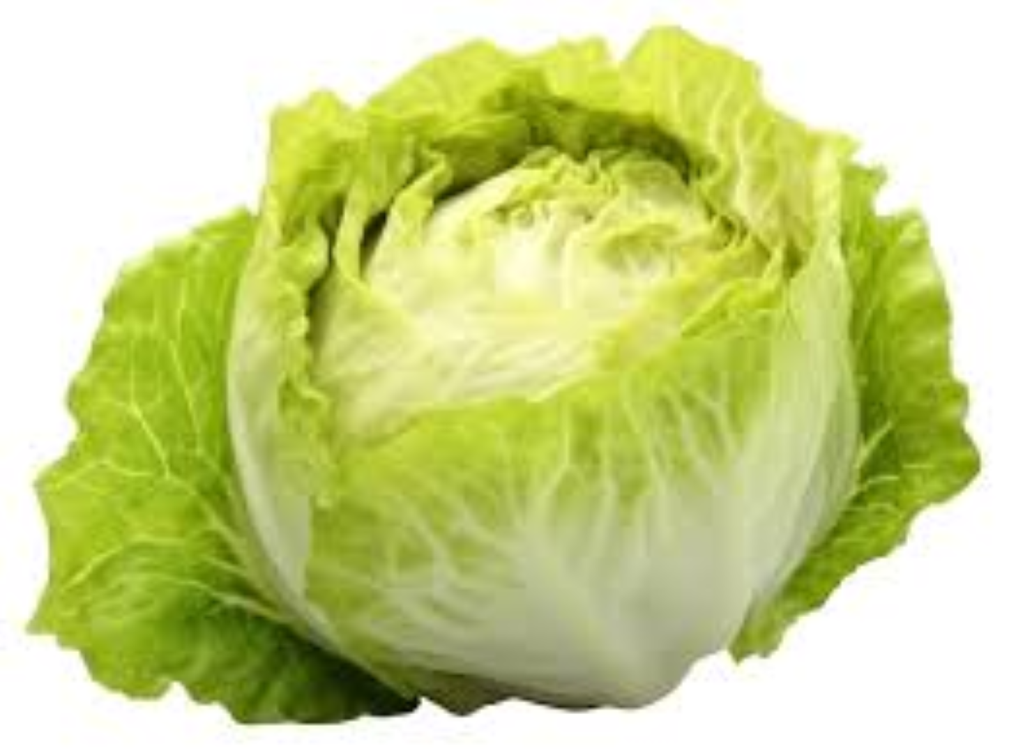 FRESHLY ICEBERG LETTUCE 400G
